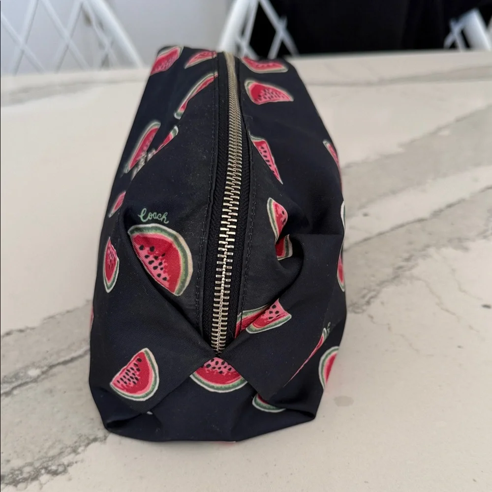 Coach Large Pouch with Watermelon Print